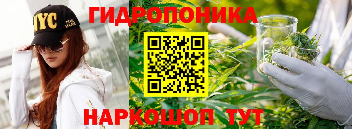 Каннабис конопля  Вход с VPN  Муром  Канабис тримм  Канабис OG Kush 
